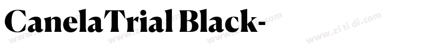 CanelaTrial Black字体转换